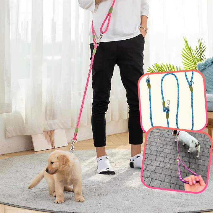 laisse pour chien variantes