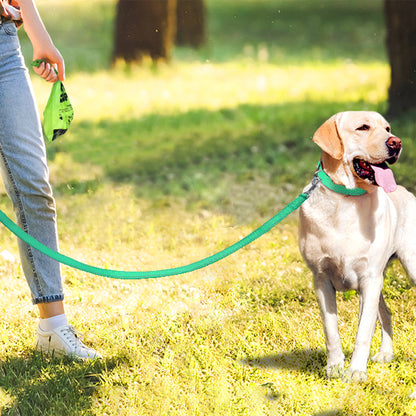 laisse pour chien vert chien promenade