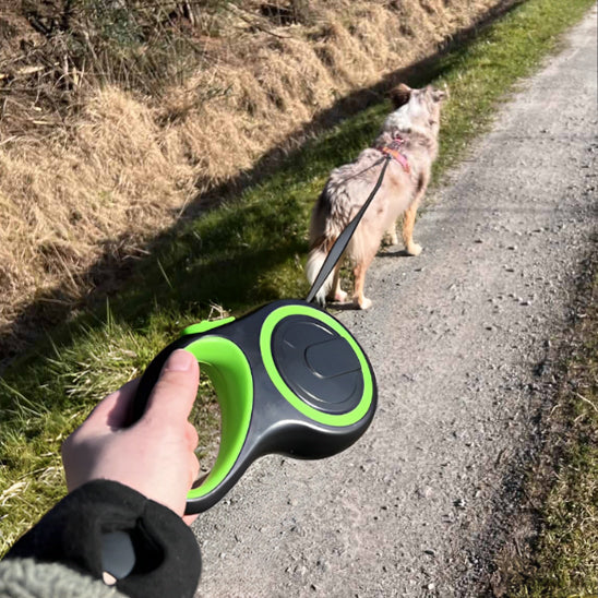 laisse pour chien vert