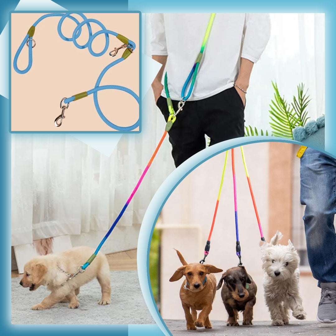 Laisse pour chien / PawTrip™