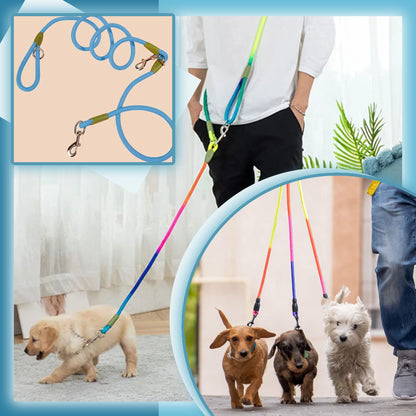 Laisse pour chien / PawTrip™
