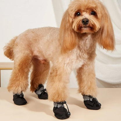 Le chien est debout sur le parquet glissant avec ces Chaussures chien​ noir