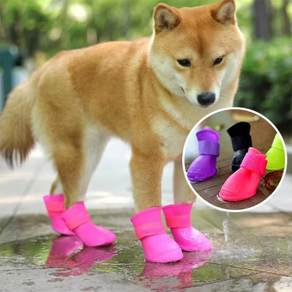 le chien marche d'un pas rassuré avec ces chaussure chien