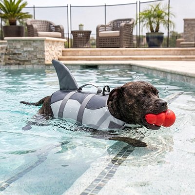 Le chien nage avec son jouet dans la guelle et son Gilet de sauvetage Chien 