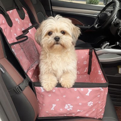 Le SécuriCar Siege auto chien bichon heureux
