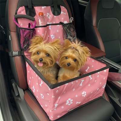Le SécuriCar Siege auto chien deux petits chien à l'intérieures 
