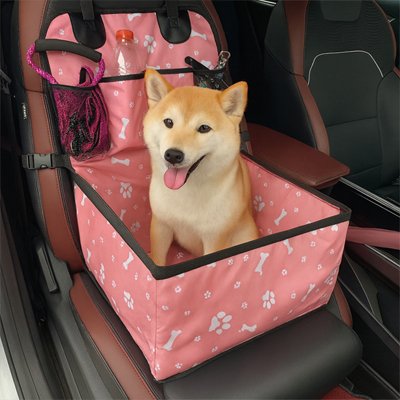 Le SécuriCar Siege auto chien le chien nous regarde 