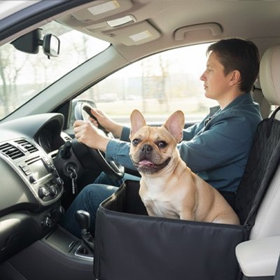 Le SécuriDrive Siege auto pour chien multi usage