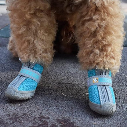 Les chaussure chien sont au pieds attachée avec bande velcros