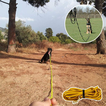 longe pour chien assis loin