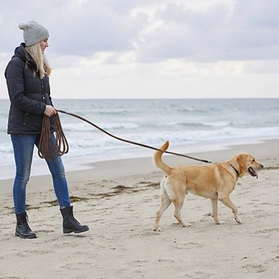 Longe pour Chien au bord de mer ce balade