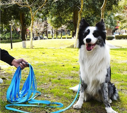 longe pour chien bleu