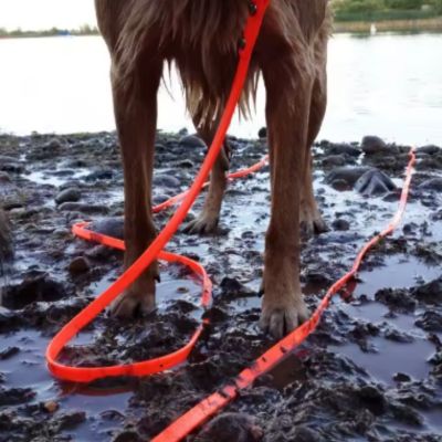 longe pour chien boue