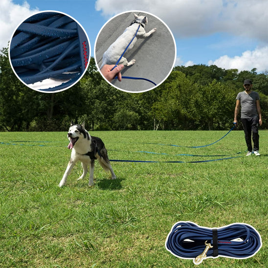 longe pour chien cour dressage