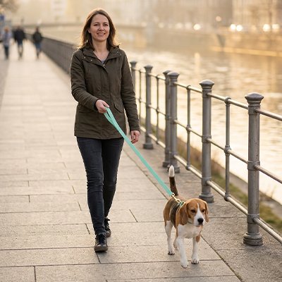 Longe pour Chien femme promène son chien sur un pont