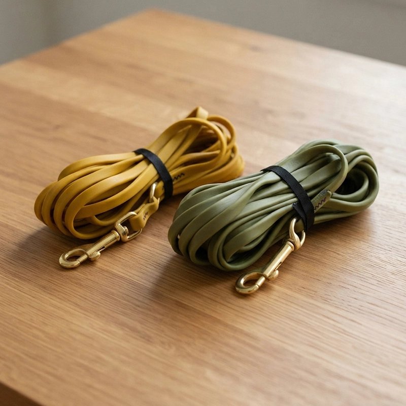 Longe pour Chien jaune & vert
