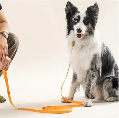 longe pour chien orange