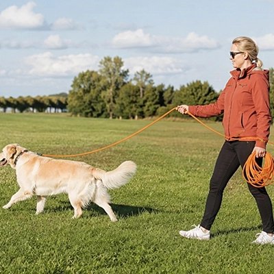 Longe pour Chien pour le travail du chien rappel