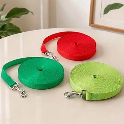 Longe pour Chien vert, rouge, vert fluo