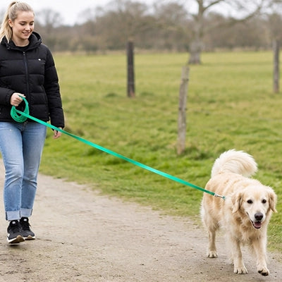Longe pour chien verte promenade campagne chien