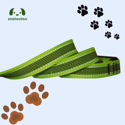 longe sprint antidérapante longe pour chien vert