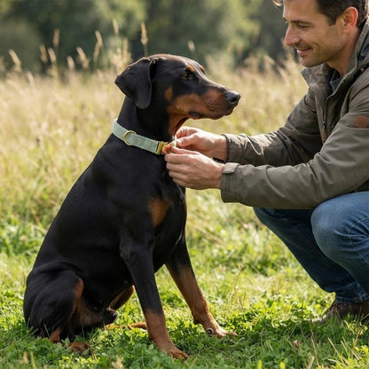Maître enfile le Collier Pour Chien vert