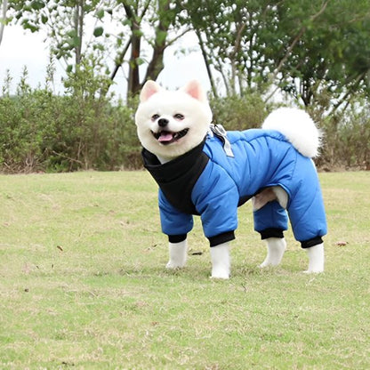 manteau chien combi exterieur