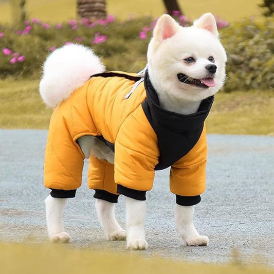 manteau chien combi jaune