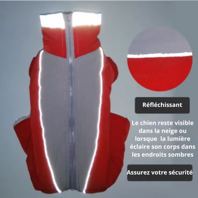 manteau chien combi nuit