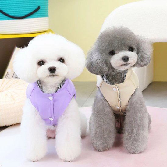 Manteau chien douceur chaleur