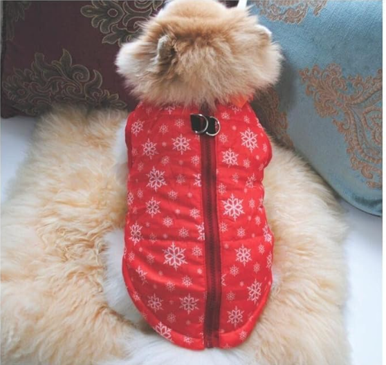 Manteau Chien douillet