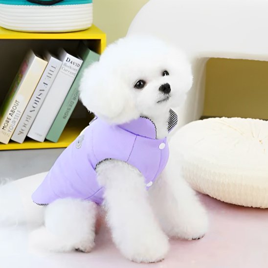 Manteau chien ergonomique durable