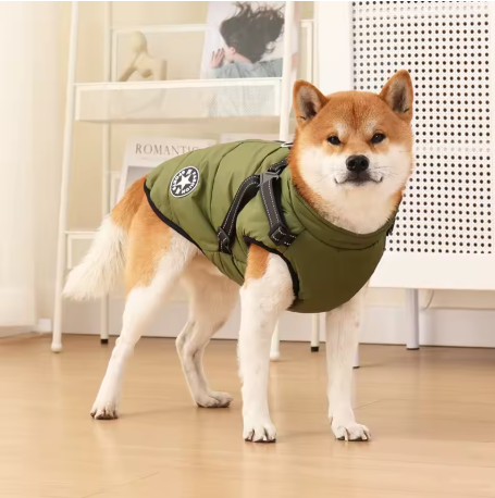 manteau chien grande taille appartement vert