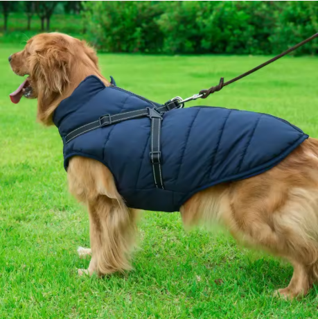 manteau chien grande taille bleu