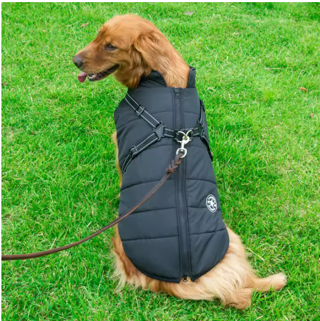 manteau chien grande taille noir