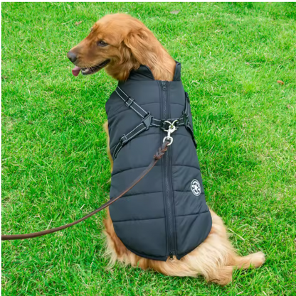 manteau chien grande taille noir