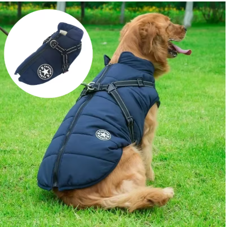 manteau chien grande taille produit bleu