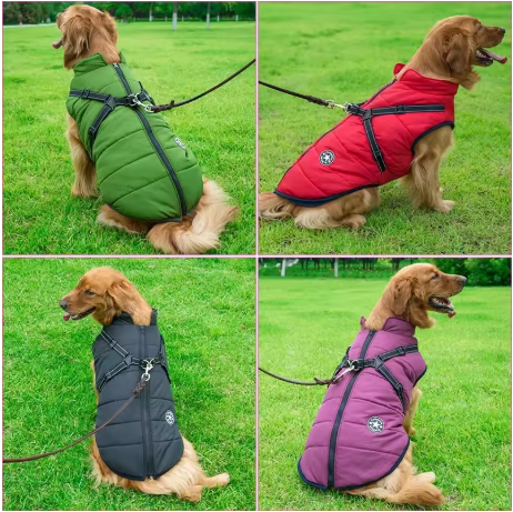 manteau chien grande taille quatre couleurs