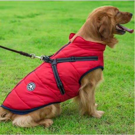 manteau chien grande taille rouge