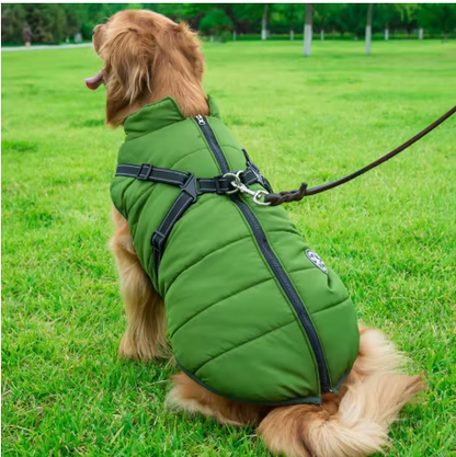 manteau chien grande taille vert