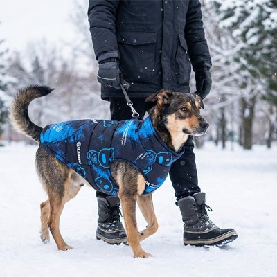 Manteau chien matelassés imperméable