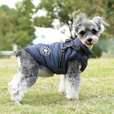manteau chien petite taille bleu