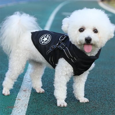 manteau chien petite taille noir-1