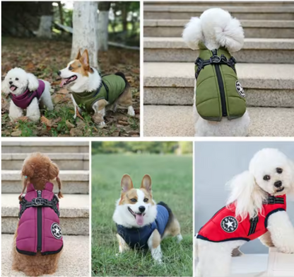 manteau chien petite taille quatre couleurs