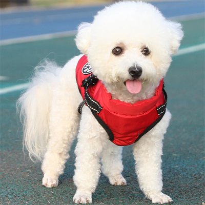 manteau chien petite taille rouge 1