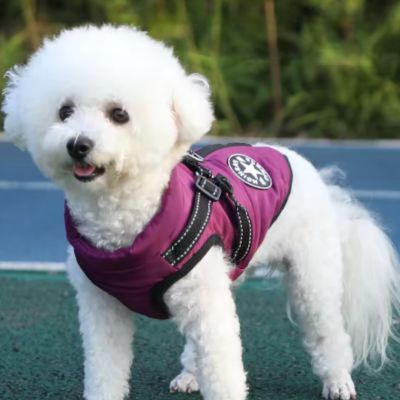 manteau chien petite taille violet-3