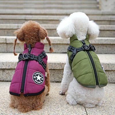 manteau chien petite taille violet vert 1