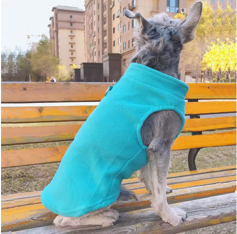 manteau chien polaire bleu clair