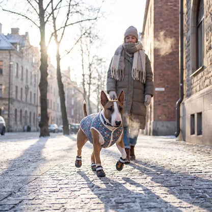 Manteau chien polaire en hivers se promène