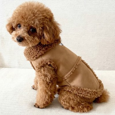 Manteau Chien protection contre le froid
